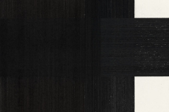 02-Arjan-Janssen-Ohne-Titel-2010-Maerz-2010-2-67.5-x-50-cm-Sibirische-Kreide-auf-Papier
